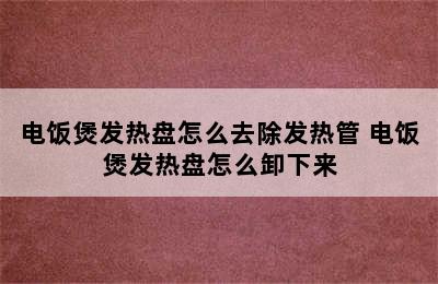 电饭煲发热盘怎么去除发热管 电饭煲发热盘怎么卸下来